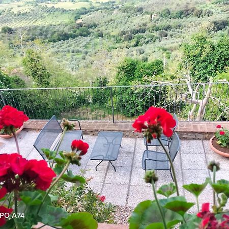 Tenuta Di Montemassi Fattoria Exteriör bild