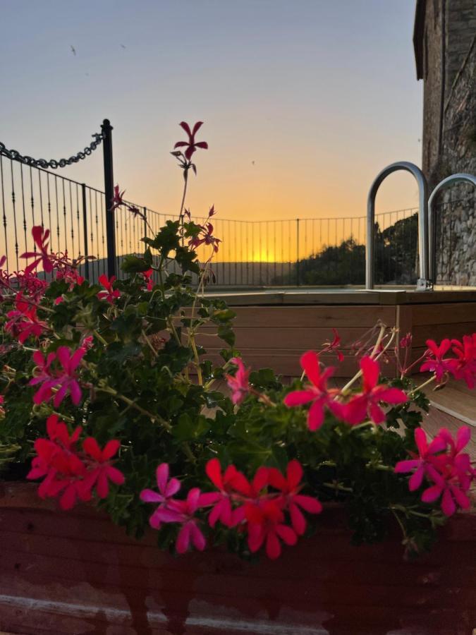 Tenuta Di Montemassi Fattoria Exteriör bild